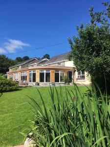 une maison avec une grande pelouse devant elle dans l'établissement Llanerchindda Farm Guest House, à Cynghordy