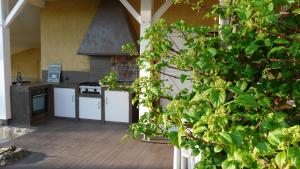 an outdoor kitchen with a stove and a counter at Au Bras d'Argent in Berthez