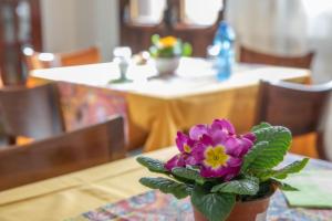 Posezení v ubytování Hotel Merlino