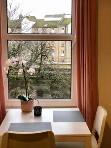 ein Fenster mit einem Tisch und einer Blume darauf in der Unterkunft Cosy centrally located one bedroom flat in Bath