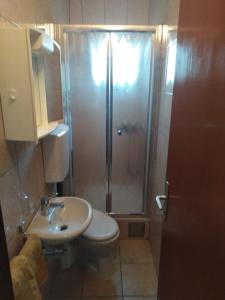 a bathroom with a shower and a toilet and a sink at Apartments and rooms Nediljko in Bibinje