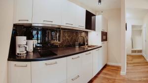 Kuchyňa alebo kuchynka v ubytovaní Apartament Silence Triventi Szmaragd