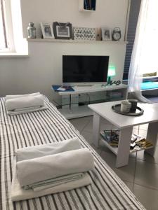TV a/nebo společenská místnost v ubytování Apartment Estera