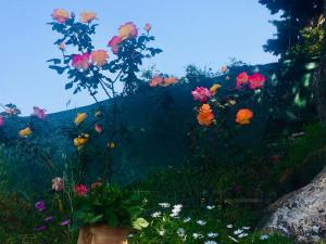 Foto de la galería de Ermones Odyssesas Bungalow en Vátos