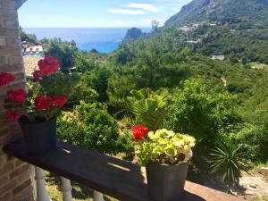 Foto de la galería de Ermones Odyssesas Bungalow en Vátos