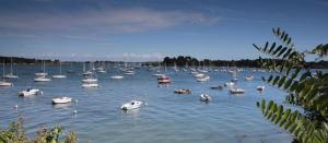 un grande gruppo di imbarcazioni in acqua di La Ferme Du Vincin a Vannes