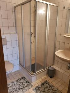 eine Dusche im Bad mit WC und Waschbecken in der Unterkunft Aventur Studio 212 Am Rotharrsteig in Medebach