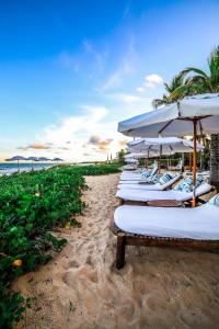 Hotel e Resort Villas de Trancoso في ترانكوسو: صف من كراسي الشاطئ مع مظلات على الشاطئ
