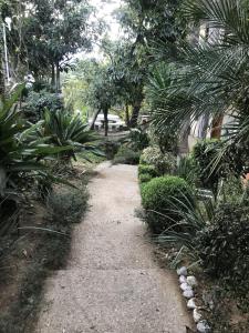 un camino en un jardín con plantas y árboles en Hotel El Mirador y Jardin, en Tlayacapan