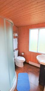 a bathroom with a shower and a toilet and a sink at Domaine Annie Sur Mer in Metis Beach