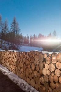 a pile of logs in front of a fence at IRIS TOP 3 DESIGN APARTMENT in Bad Kleinkirchheim