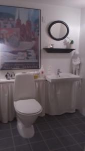 een badkamer met een toilet, een wastafel en een spiegel bij Hos Anna in Roskilde