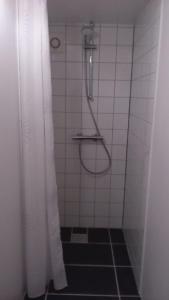 bagno con doccia e tenda doccia di Hos Anna a Roskilde