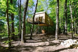 a tree house in the middle of the woods at Treehouse Lika1 in Gospić