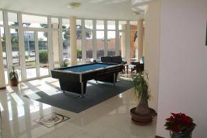 Biliár nebo kulečník v ubytování Hotel Minerva