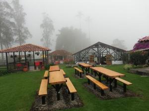 Zahrada ubytování Palmas de Cocora