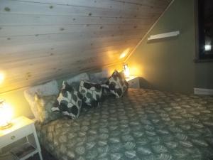 sypialnia z łóżkiem z 2 poduszkami w obiekcie Roliga semestrar i Åhus! w mieście Åhus