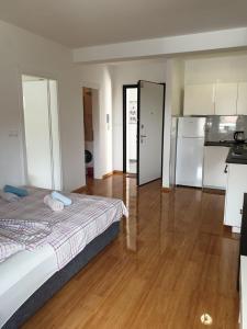 Kuchyň nebo kuchyňský kout v ubytování Apartman DODO 1