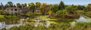 a river with a house in the middle of it at Viñedos San Lucas in San Miguel de Allende