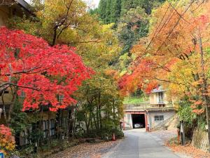 un camino con árboles con hojas rojas y amarillas en Kinosato Yamanoyu, en Kokonoe