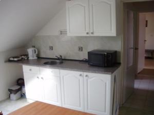 eine Küche mit einer Spüle und einer Mikrowelle in der Unterkunft Apartmány u Jitky in Zlín