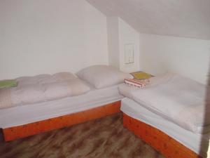1 Schlafzimmer mit 2 Einzelbetten in einem Zimmer in der Unterkunft Apartmány u Jitky in Zlín