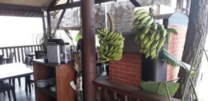 un montón de montones de bananas colgando de una pared de ladrillo en Le Gîte du Koniambo, en Voh 83 fotos más