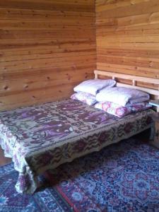 ボリショエ・ゴロウストノエにあるChastnaya Usadba Stanitsaの木製の壁のドミトリールーム(ベッド1台)