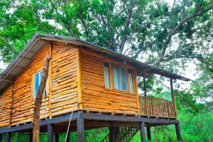 a wooden cabin on a platform in front of a tree at La Casa Safari Resort in Udawalawe