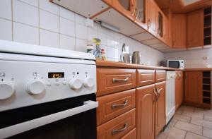 Kuchyňa alebo kuchynka v ubytovaní Flamingo Apartments