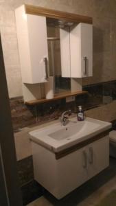 ein Badezimmer mit einem Waschbecken, einem Spiegel und einem WC in der Unterkunft Adam Garden in Trabzon