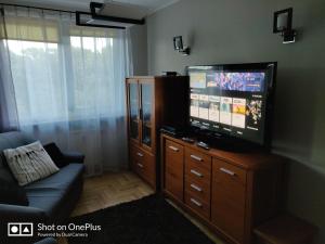 TV a/nebo společenská místnost v ubytování Apartament Park