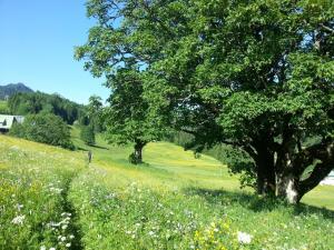 Paesaggio naturale nelle vicinanze dell'affittacamere