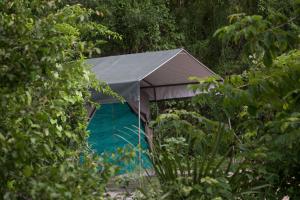 Gallery image of Selous Mapumziko Lodge in Selous Game Reserve