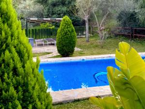 a swimming pool in a yard with trees at Casas Rurales Los Algarrobales in El Gastor