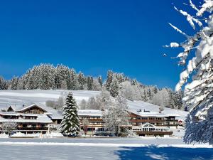 eine Lodge im Schnee mit schneebedeckten Bäumen in der Unterkunft Sonnenbichl Hotel am Rotfischbach in Fischen im Allgäu