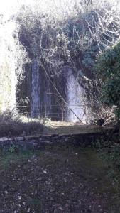 Photo de la galerie de l'établissement Awesomnest, à Dimitsana