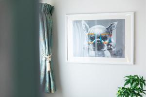 a picture of a dog wearing goggles on a wall at belle lune hotel hakata Suite Room 3 in Fukuoka