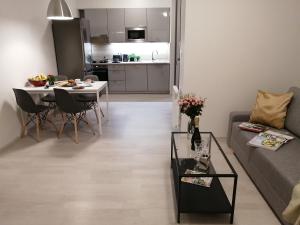 Kuchyň nebo kuchyňský kout v ubytování Prima Family Apartments