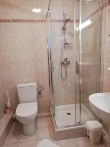 La salle de bains est pourvue d'une douche, de toilettes et d'un lavabo. dans l'établissement Hôtel Restaurant Le Moschenross, à Thann