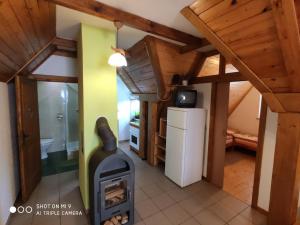 kuchnia z piecem opalanym drewnem w pokoju w obiekcie Apartament-studio, pokoje u Lucy w Rabce +30 zdjęć