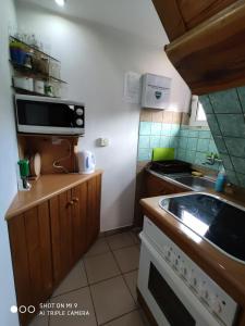 Kuchnia lub aneks kuchenny w obiekcie Apartament-studio, pokoje u Lucy