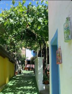 A garden outside Il Cinghialetto