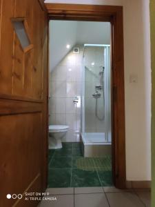 Łazienka w obiekcie Apartament-studio, pokoje u Lucy