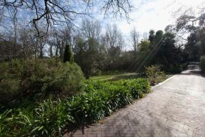 een bakstenen pad met planten en bomen aan de zijkant bij Viettz Suite Annex in Stellenbosch +2 foto's