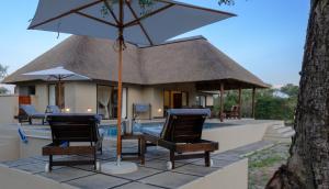 dom z krzesłami i parasolem przy basenie w obiekcie Wildlife Estate In Limpopo w mieście Hoedspruit