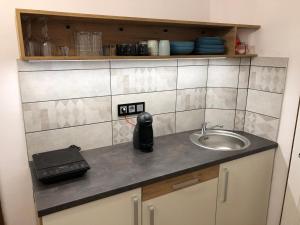 Kuchyň nebo kuchyňský kout v ubytování IL-LAK Apartman