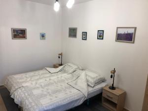 Postel nebo postele na pokoji v ubytování IL-LAK Apartman