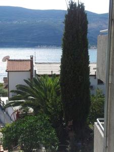 vistas al océano desde un edificio con un árbol en Apartments Beleni, en Herceg-Novi