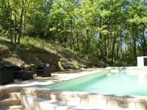 ドラギニャンにあるCharming house in the forest with private poolの木の植わる庭のスイミングプール